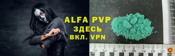 ешки Новодвинск