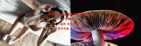 jwh Новозыбков