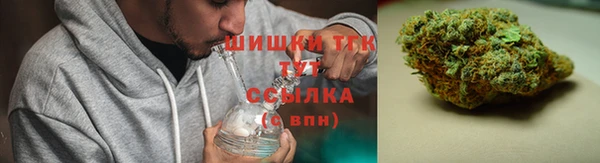 ешки Новодвинск