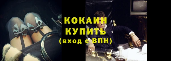 ешки Новодвинск