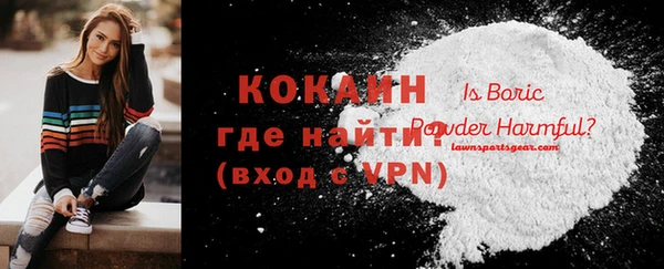 ешки Новодвинск