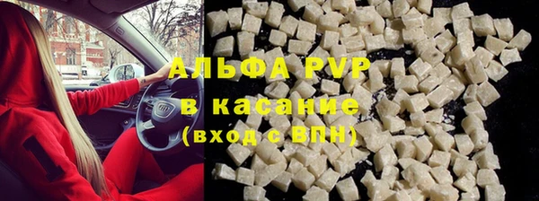 ешки Новодвинск