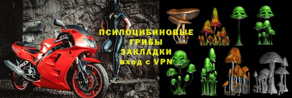 jwh Новозыбков
