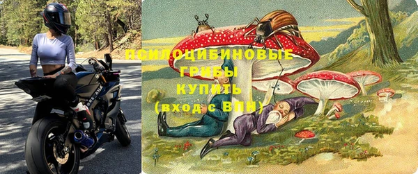 прущие крисы Новокубанск
