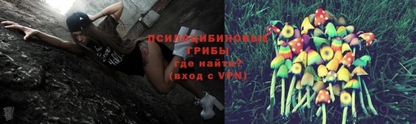 прущие крисы Новокубанск